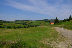 Fijifilm Velvia. Фото з камери