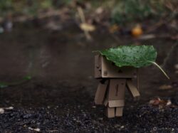 Калюжа біля під'їзду, Olympus E-PM2, OM Zuiko 50/1.8. Пакетик.