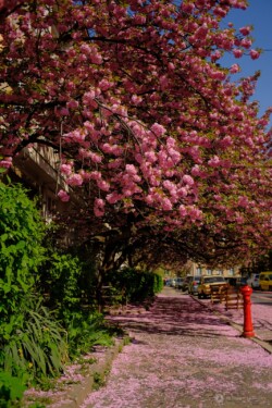 Тиняючись Ужгородом Fujifilm X-T20, TTArtisan 23/1/4